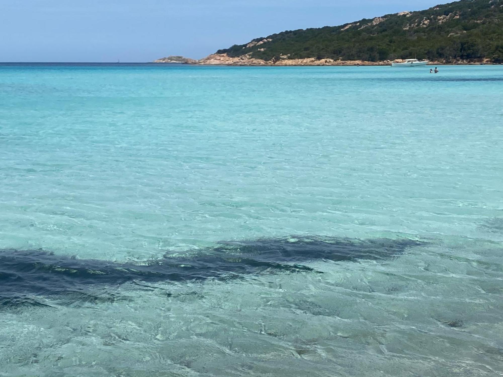 Casa Stella Residence Ea Bianca Baja Sardinia Εξωτερικό φωτογραφία